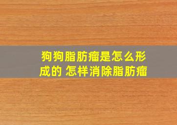 狗狗脂肪瘤是怎么形成的 怎样消除脂肪瘤